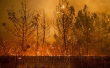 [ẢNH] 44 người chết, cháy rừng ở California chưa bao giờ kinh hoàng đến thế